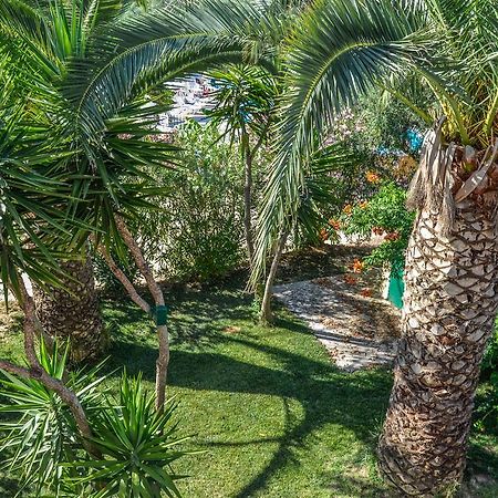 Olive Grove Apts Lithakia  Esterno foto