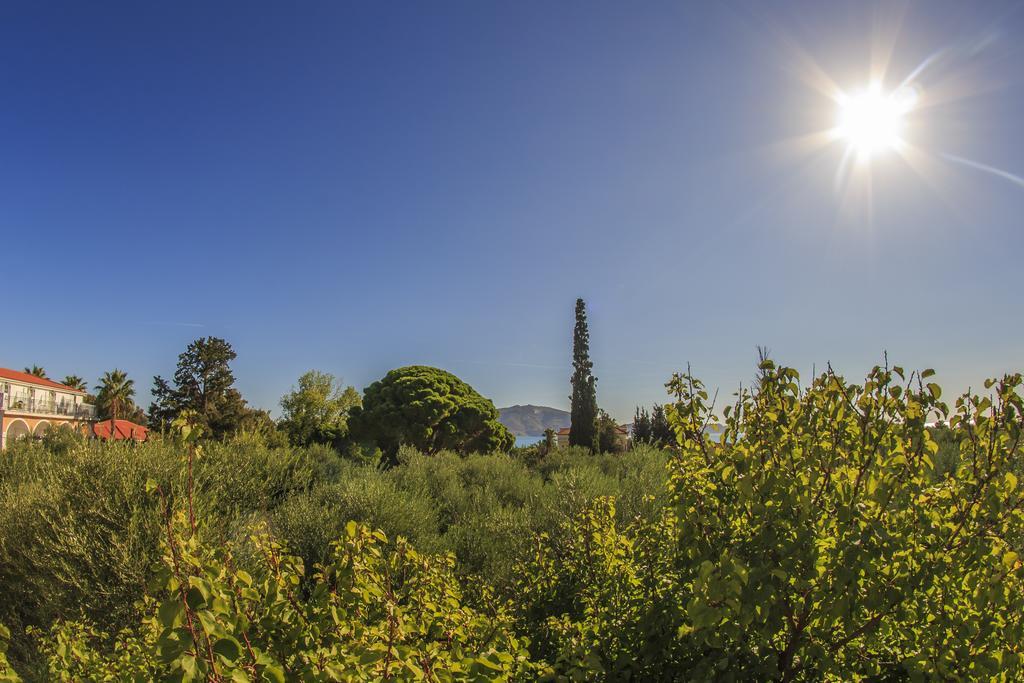 Olive Grove Apts Lithakia  Camera foto