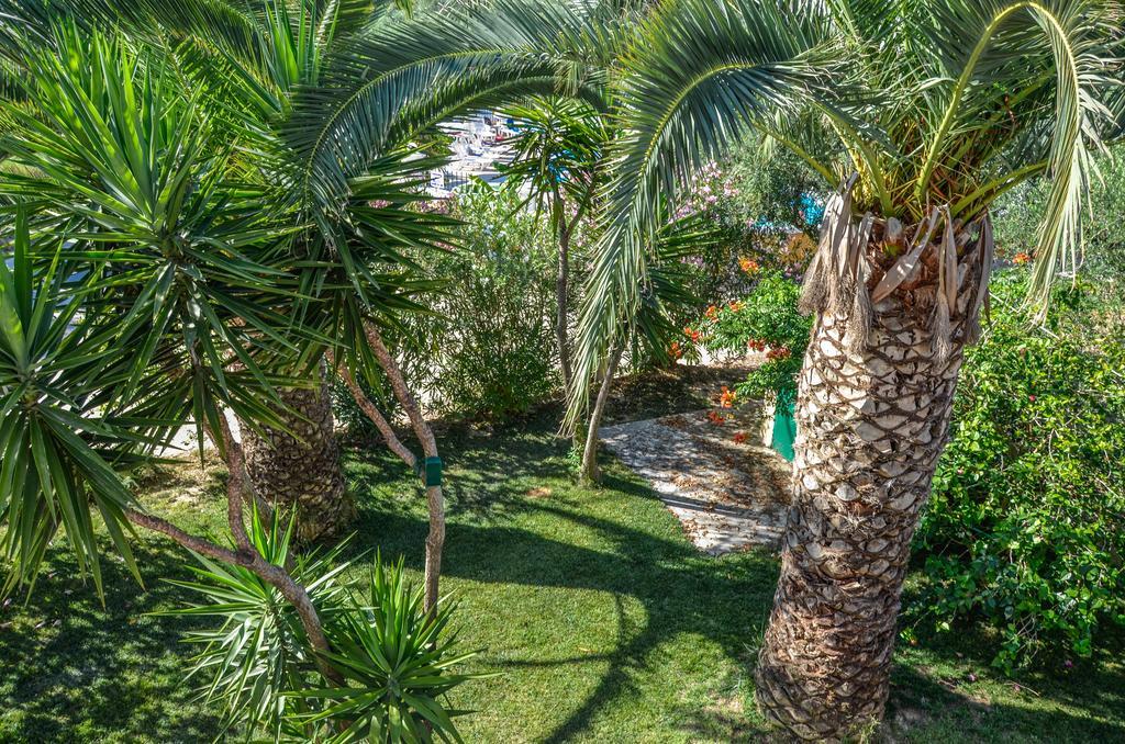 Olive Grove Apts Lithakia  Esterno foto