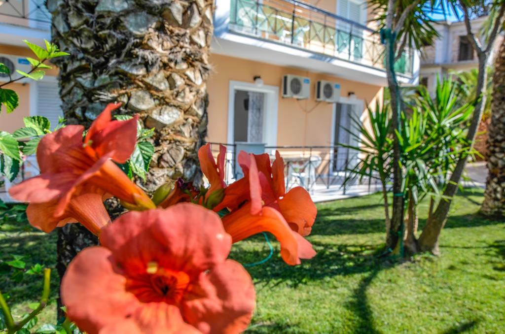 Olive Grove Apts Lithakia  Esterno foto