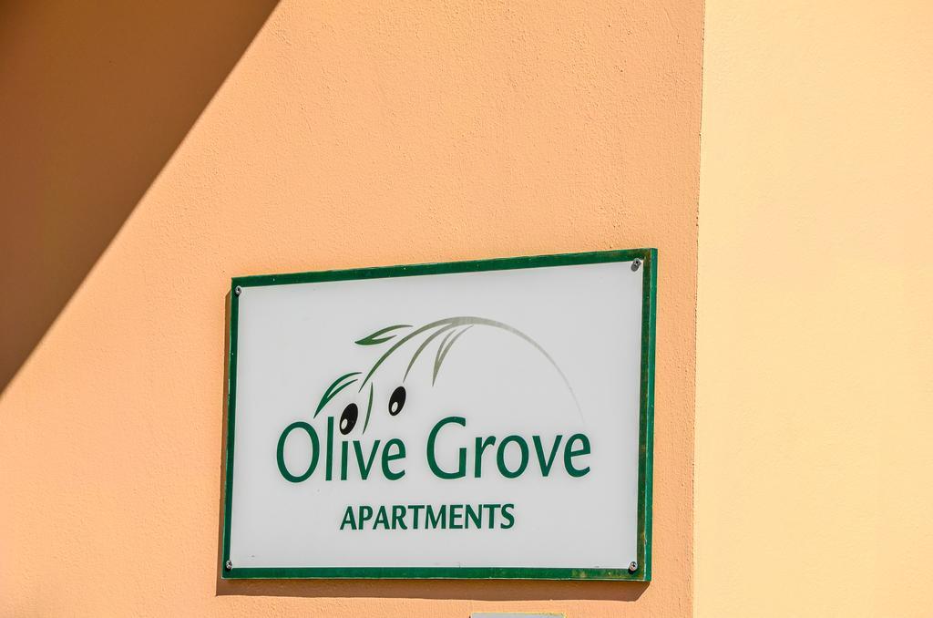 Olive Grove Apts Lithakia  Esterno foto